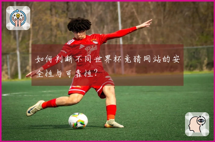 如何判断不同世界杯竞猜网站的安全性与可靠性？