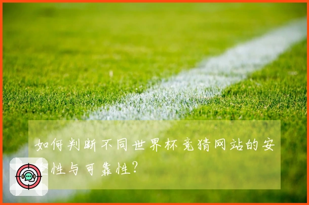 如何判断不同世界杯竞猜网站的安全性与可靠性？