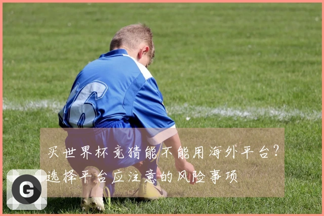 买世界杯竞猜能不能用海外平台？选择平台应注意的风险事项