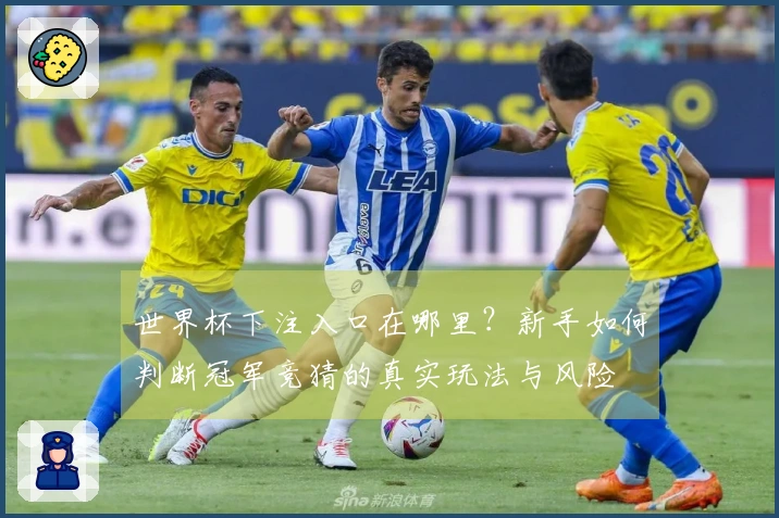 世界杯下注入口在哪里？新手如何判断冠军竞猜的真实玩法与风险